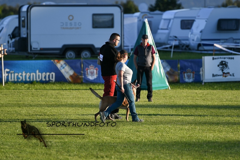 Impressionen 377.jpg